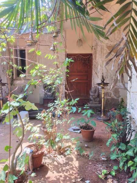2 BHK Individual Houses / Villas for Sale in Alibag, Raigad (4 Acre)