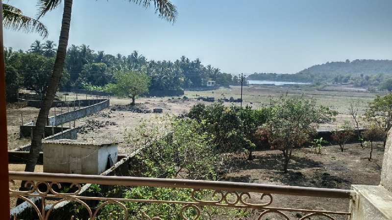 4 BHK Individual Houses / Villas for Sale in Alibag, Raigad (37 Guntha)