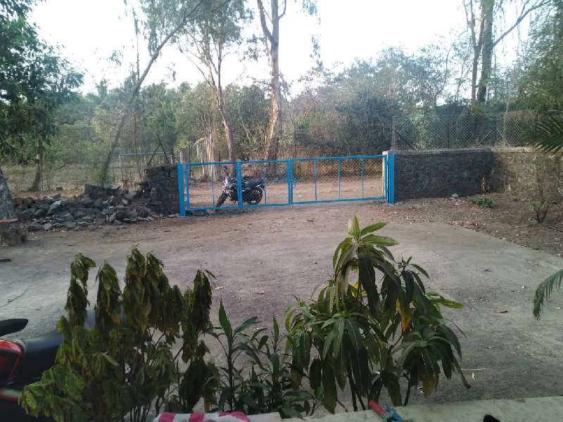 2 BHK Individual Houses / Villas for Sale in Alibag, Raigad (8 Acre)