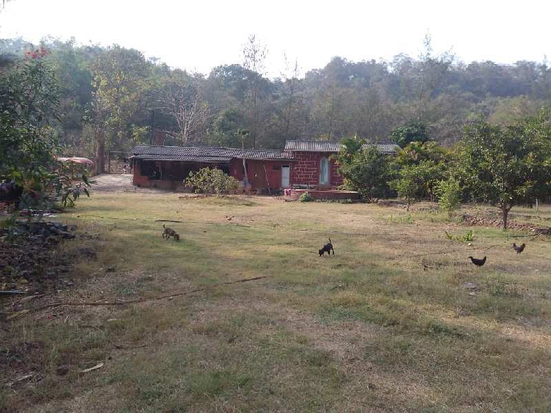 3 BHK Individual Houses / Villas for Sale in Alibag, Raigad (22 Guntha)