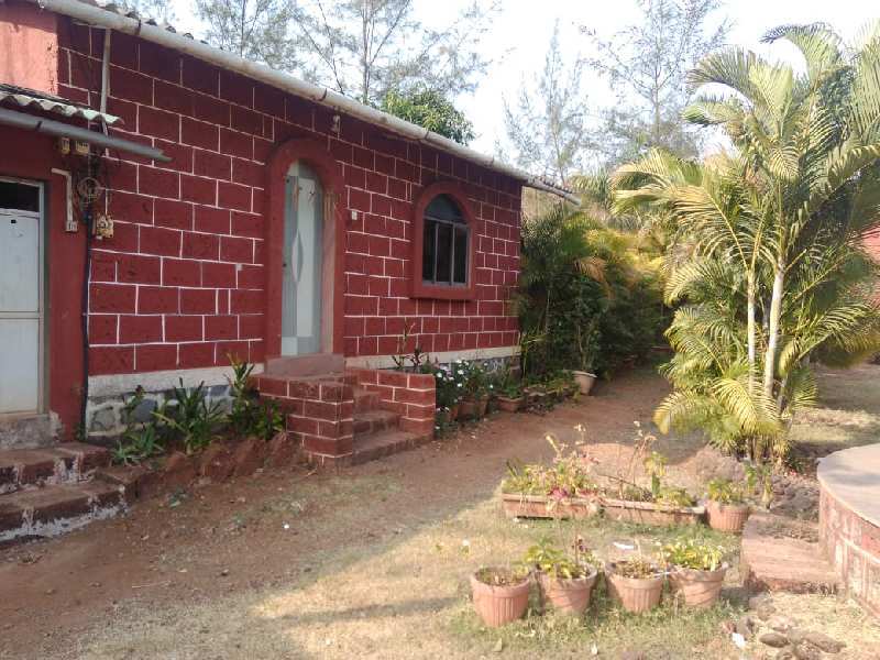 3 BHK Individual Houses / Villas for Sale in Alibag, Raigad (22 Guntha)