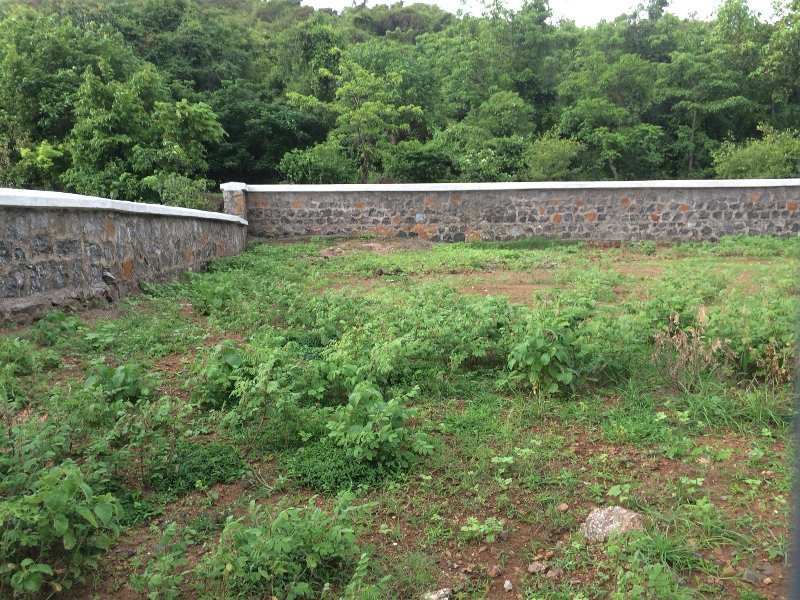 4 Guntha Residential Plot for Sale in Alibag, Raigad