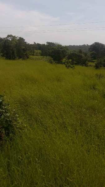 1000 Acre Residential Plot for Sale in Mhasla, Raigad