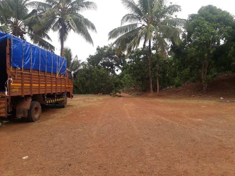 50 Acre Agricultural/Farm Land for Sale in Murud, Raigad