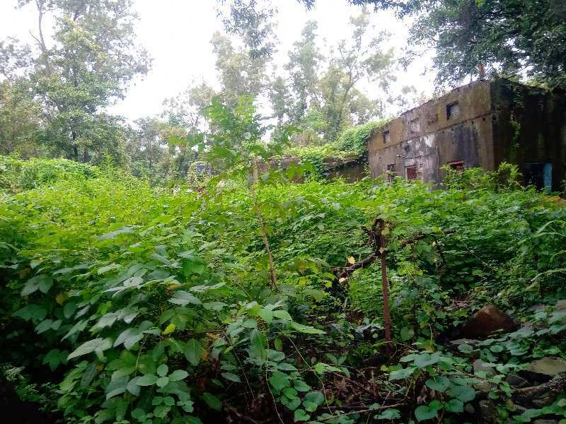 8 Guntha Residential Plot for Sale in Mandwa, Raigad