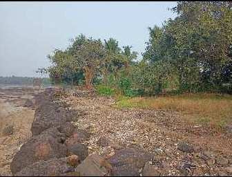 50 Acre Residential Plot for Sale in Murud, Raigad