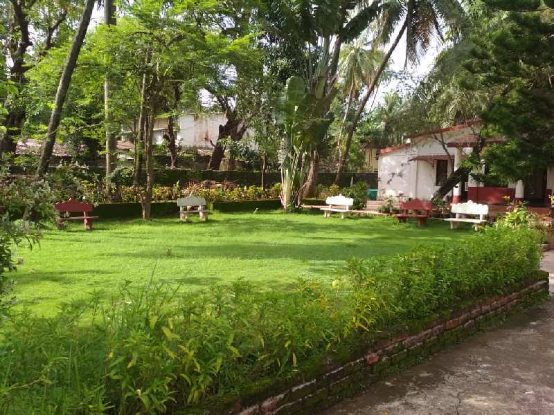 8 BHK Individual Houses / Villas for Sale in Alibag, Raigad (113 Guntha)