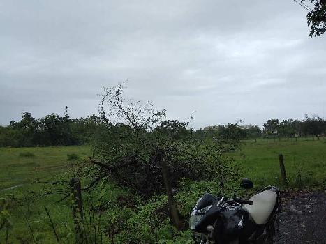 4.5 Acre Residential Plot for Sale in Kihim, Raigad