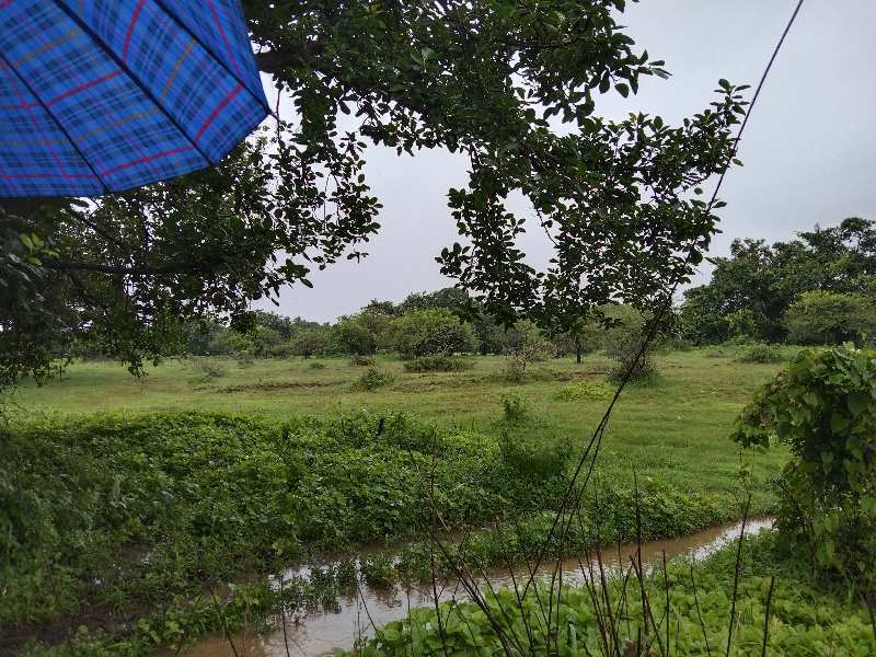 4.5 Acre Residential Plot for Sale in Kihim, Raigad