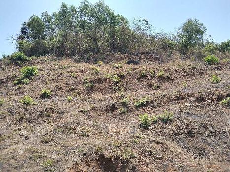 Property for sale in Alibag, Raigad
