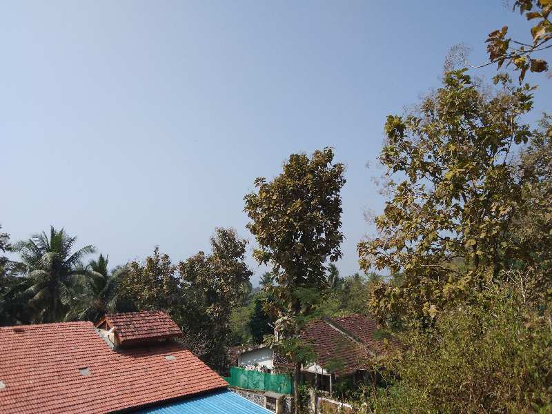 11 Guntha Residential Plot for Sale in Murud, Raigad