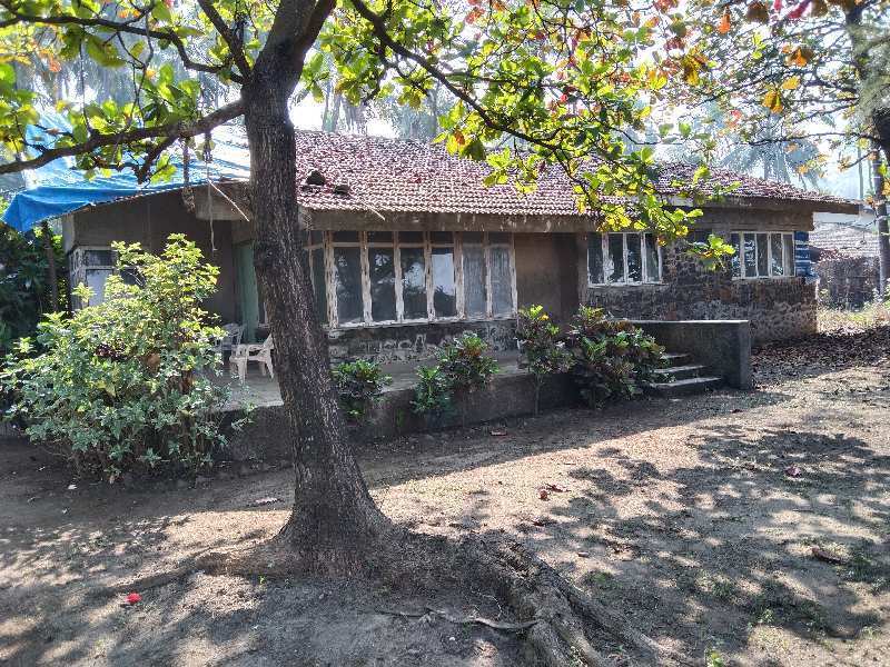 3 BHK Individual Houses / Villas for Sale in Kihim, Raigad (49 Guntha)