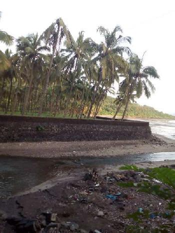 6 Acre Residential Plot for Sale in Murud, Raigad