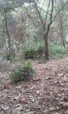 2.5 Acre Residential Plot for Sale in Murud, Raigad