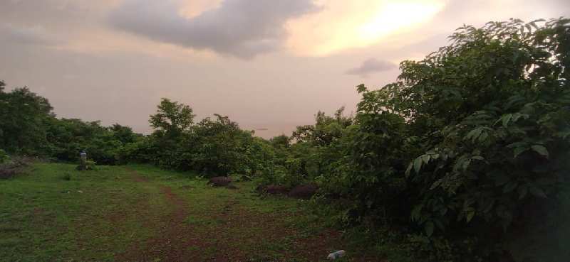 15 Acre Residential Plot for Sale in Murud, Raigad