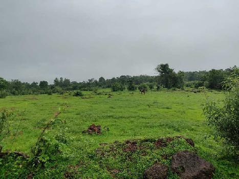 11 Acre Residential Plot for Sale in Roha, Raigad