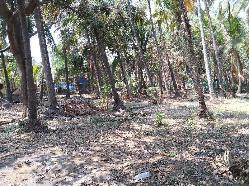 27 Guntha Residential Plot for Sale in Alibag, Raigad