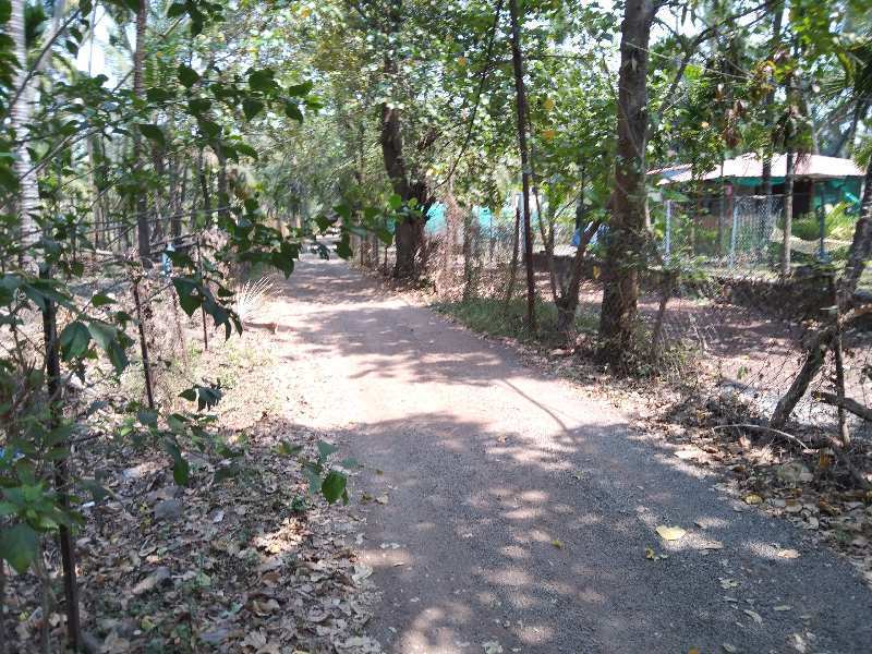 27 Guntha Residential Plot for Sale in Alibag, Raigad