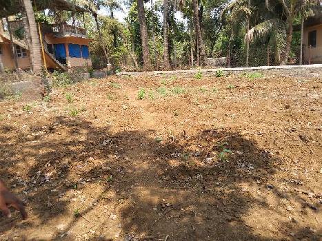 7.5 Guntha Residential Plot for Sale in Nagaon, Raigad