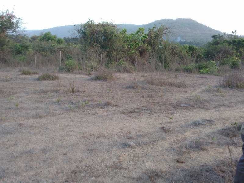 1.5 Acre Residential Plot for Sale in Murud, Raigad