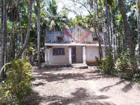 2 BHK Individual Houses / Villas for Sale in Chaul, Raigad (20 Guntha)