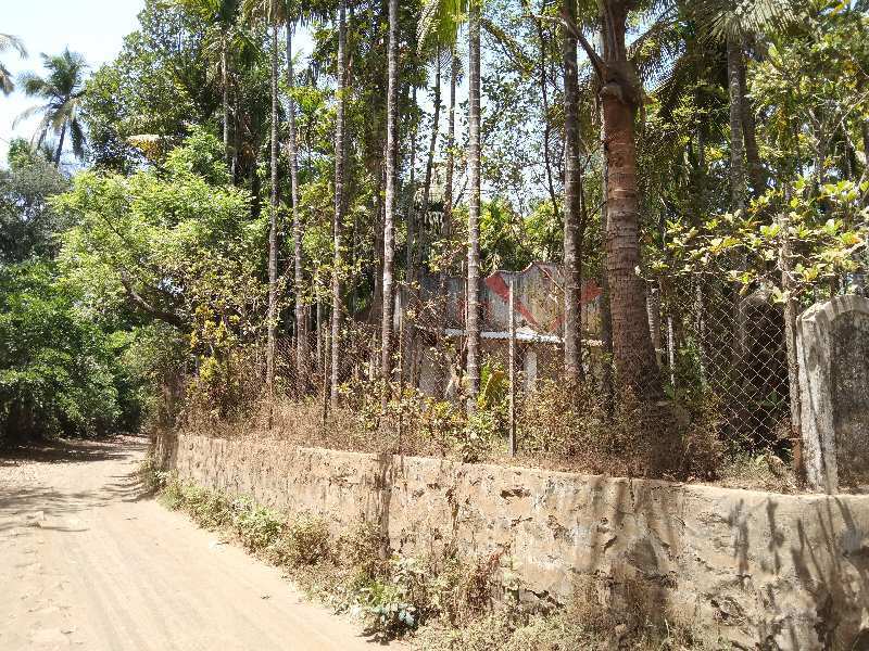 2 BHK Individual Houses / Villas for Sale in Chaul, Raigad (20 Guntha)