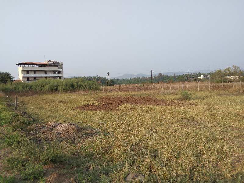 12 Guntha Residential Plot for Sale in Nagaon, Raigad