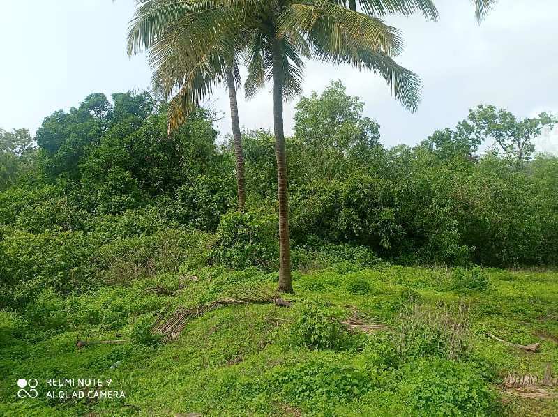 3 Acre Residential Plot for Sale in Murud, Raigad