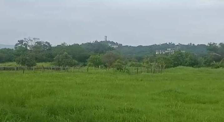 10 Acre Residential Plot for Sale in Mandwa, Raigad