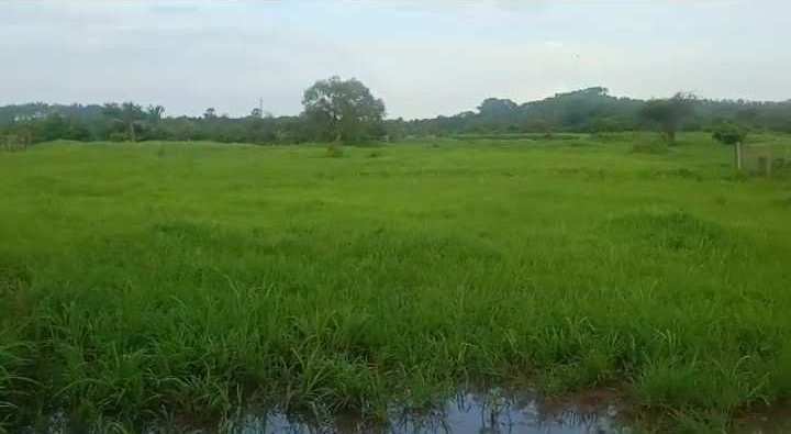 10 Acre Residential Plot for Sale in Mandwa, Raigad