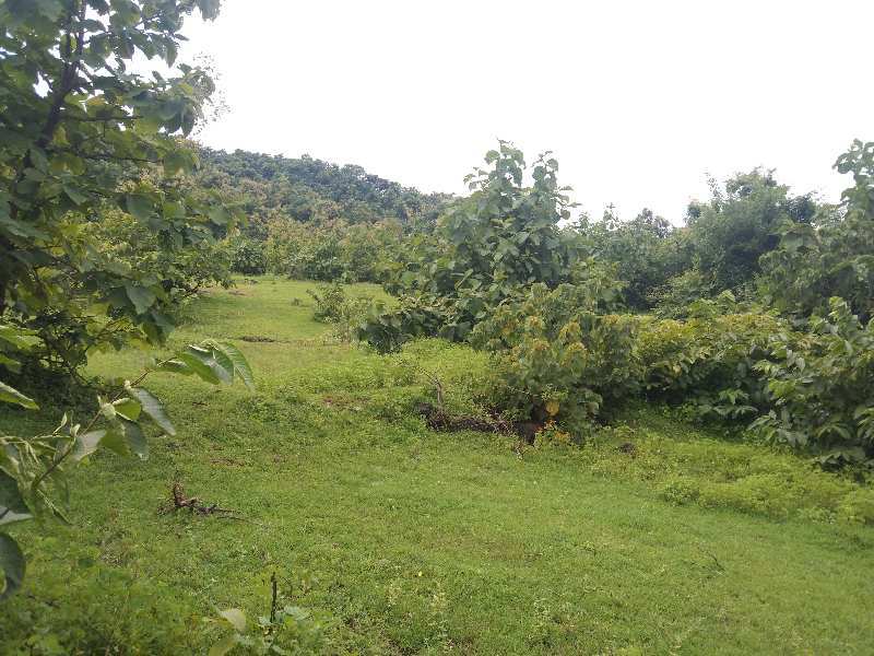 30 Acre Residential Plot for Sale in Murud, Raigad