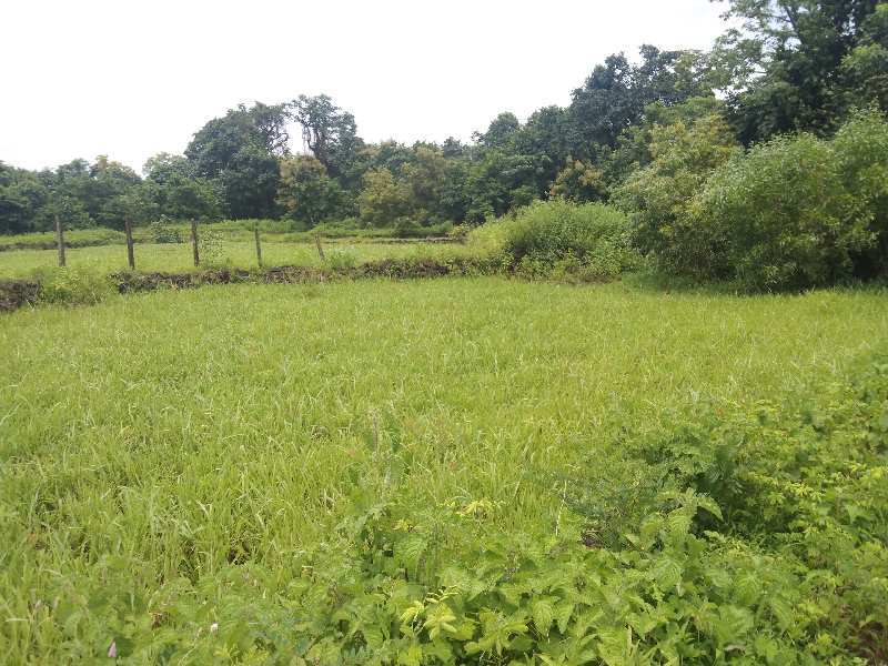 30 Acre Residential Plot for Sale in Murud, Raigad