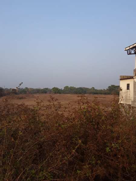 12 Acre Residential Plot for Sale in Kihim, Raigad