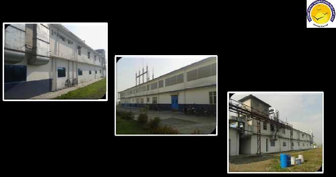 120000 Sq.ft. Factory / Industrial Building for Sale in Paonta Sahib, Sirmaur