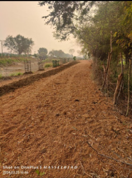 9.50 Acre Agricultural/Farm Land for Sale in Saragaon, Raipur