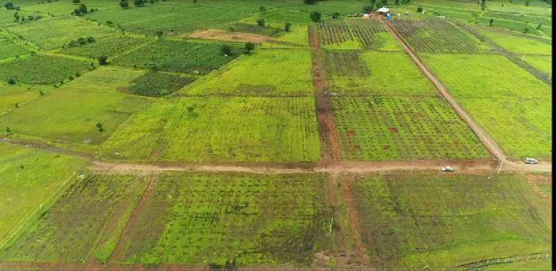 1210 Sq. Yards Agricultural/Farm Land for Sale in Narayankhed, Medak