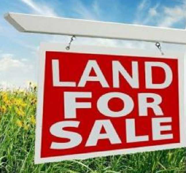 15 guntha Land for sale Panchgani with a view.
