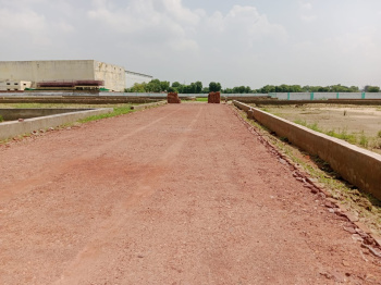 Residential Plot for Sale in Sector 117, Mohali (250 Sq. Yards)