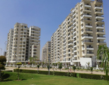 Flats & Apartments for Sale in Sector 117, Mohali (1160 Sq.ft.)