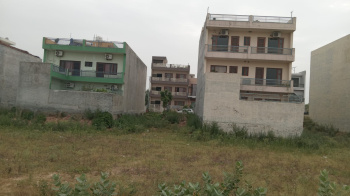 Residential Plot for Sale in Sector 116, Mohali (250 Sq. Yards)