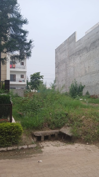 Residential Plot for Sale in Sector 118, Mohali (350 Sq. Yards)