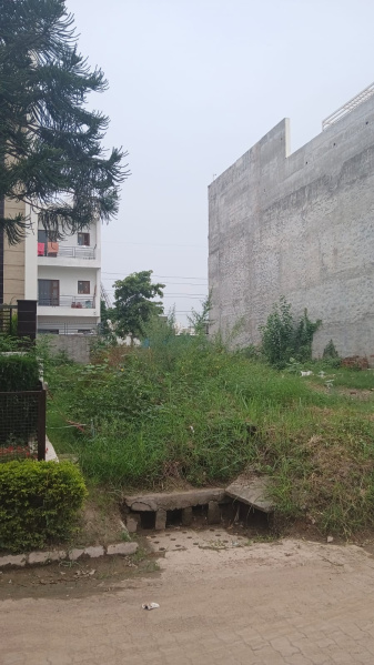 Residential Plot for Sale in Sector 118, Mohali (350 Sq. Yards)