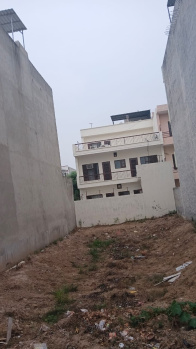 Residential Plot for Sale in TDI City, Mohali (250 Sq. Yards)
