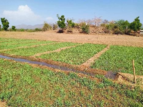 707850 Sq.ft. Agricultural/Farm Land for Sale in Abu Road, Sirohi