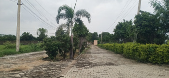 Clear Title Property , near Shantivan Talhati , Farm House develop land clear title ,