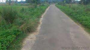 Agricultural/Farm Land for Sale in Rajasthan (136125 Sq.ft.)