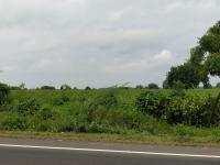 490050 Sq.ft. Agricultural/Farm Land for Sale in Abu Road, Sirohi