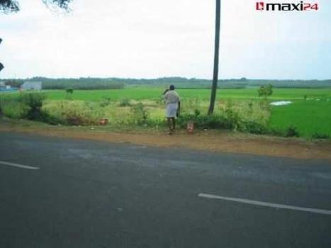 176962.5 Sq.ft. Agricultural/Farm Land for Sale in Rajasthan