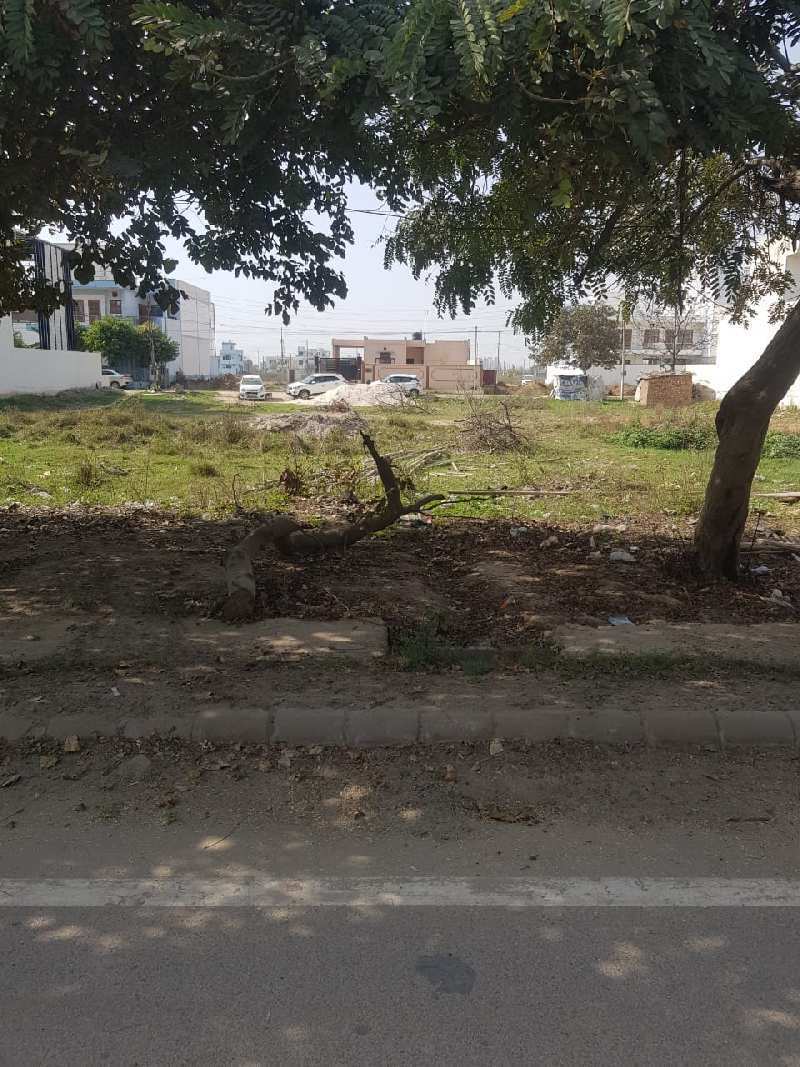 100 Sq. Yards Residential Plot for Sale in Sector 2, Bahadurgarh