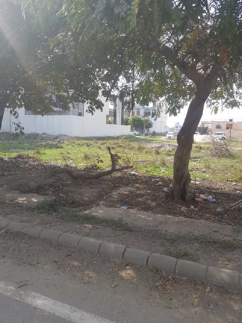 100 Sq. Yards Residential Plot for Sale in Sector 2, Bahadurgarh